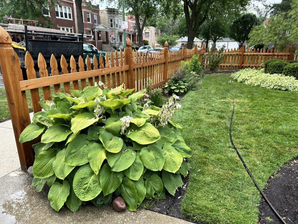 clean fence in Chicago