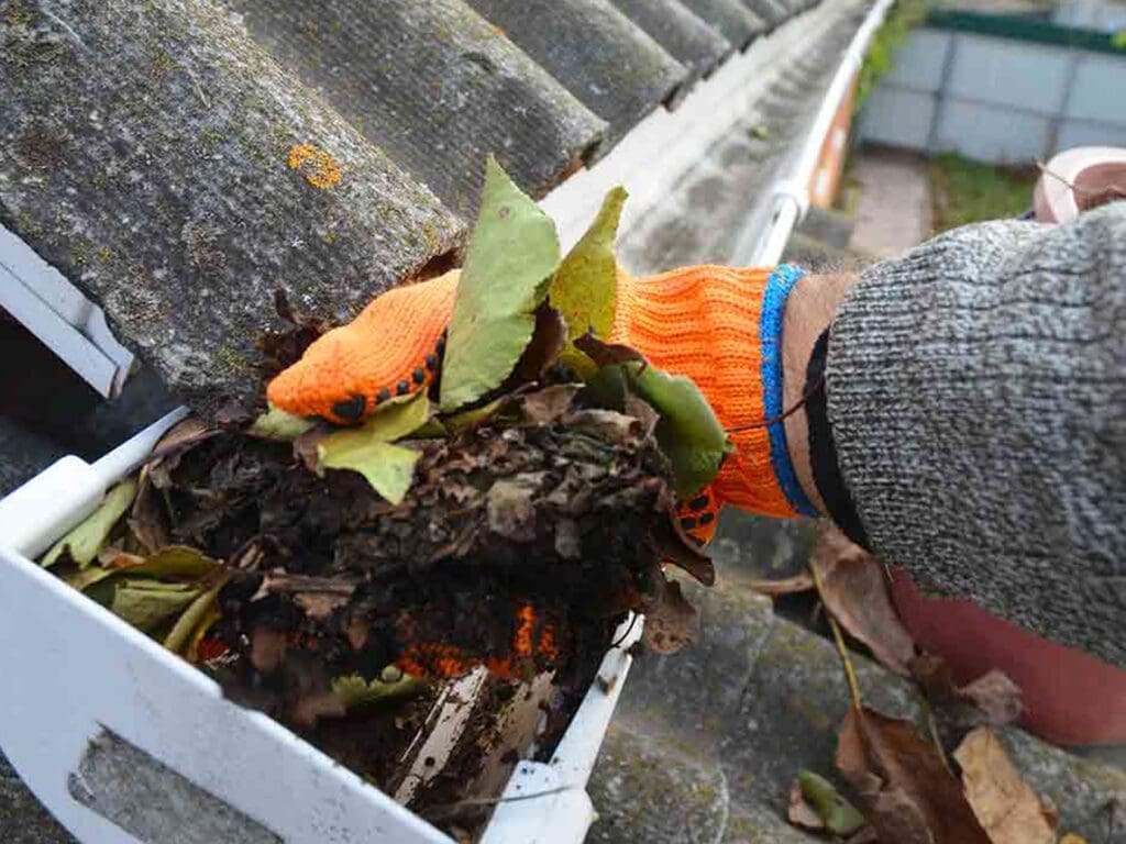 person picking up leaves from the gutter